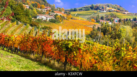 Herbst Landschaft - goldene Weinberge von Piemont - weinstock Region in Italien Stockfoto