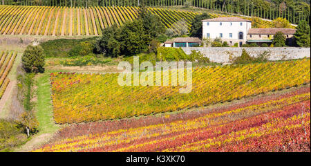 Beeindruckende herbstliche Landschaft, Panoramablick auf Weinberge, Toskana, Italien. Stockfoto