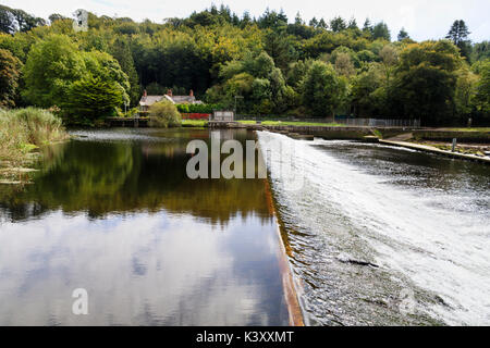 Spillway und Naturschutzgebiet See hinter dem Damm an Lopwell Damm am Fluss Tavy, Devon, Großbritannien Stockfoto