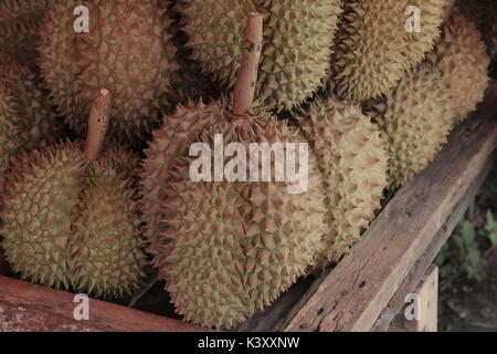 Shopping durians König der Früchte Stockfoto