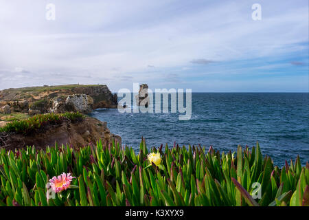 Peniche, Portugal - April 1, 2017: Landschaft bei Papoa Punkt in Peniche Portugal mit Pflanzen Mesembryanthemum im Vordergrund. Stockfoto