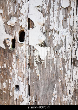 Detaillierte Bild eines alten Tor in Weiß gestrichen. Stockfoto