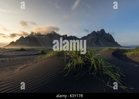 Dünen auf stokksnes Strand vor der Berg Vestrahorn, Island. Stockfoto