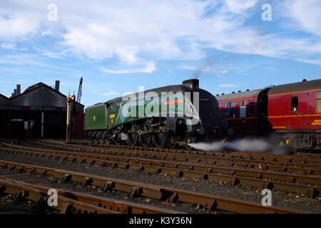 60009,Union of South Africa im Didcot Railway Center, Stockfoto