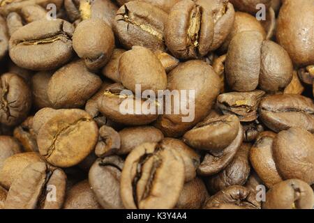 frisch gerösteten Kaffeebohnen Stockfoto