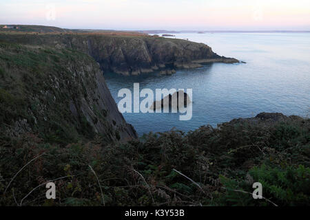 Blick in Richtung Trwyn Cynddeiriog Landspitze im Sommer von Porthclais Campingplatz in der Nähe von St nicht's und St David's Pembrokeshire Wales UK KATHY DEWITT Stockfoto