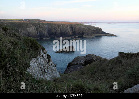 Blick in Richtung Trwyn Cynddeiriog Landspitze im Sommer von Porthclais Campingplatz in der Nähe von St nicht's und St David's Pembrokeshire Wales UK KATHY DEWITT Stockfoto