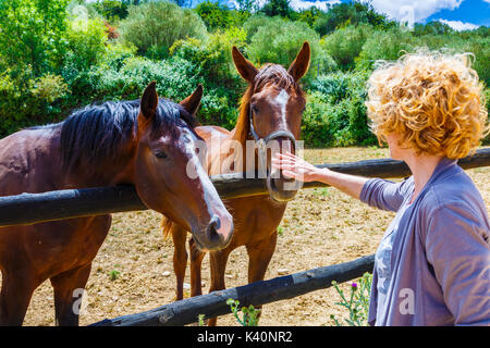 Pferde auf einem Bauernhof. Dicastillo. Estella Comarca, Navarra. Spanien, Europa. Stockfoto