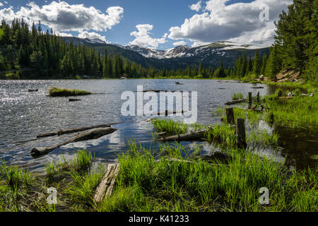 In der Nähe von Nederland, Colorado. Etwas außerhalb von Indian Peaks Wilderness. Stockfoto