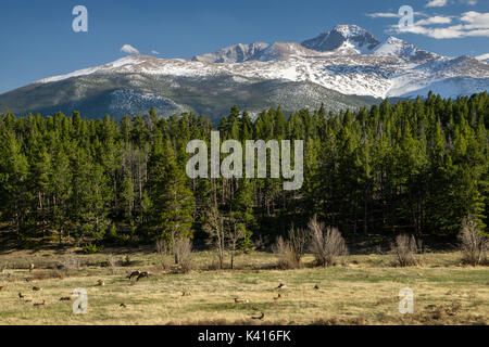 Upper Beaver Creek, Rocky Mountain National Park. Estes Park, Colorado. Stockfoto