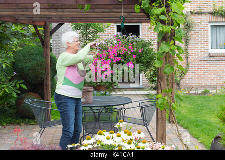 Eine ältere Frau arbeitet in Ihrem Garten Stockfoto