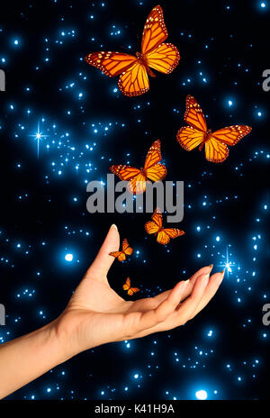 Weibliche Hand und Schmetterlinge Stockfoto