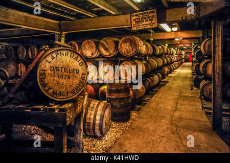 Whisky Reifung im Fass an der renommierten Laphroaig Distillery, Isle of Islay, Schottland Stockfoto