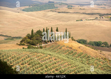 Podere Belvedere inmitten der berühmten toskanischen Landschaft, Toskana Italien Europa EU Stockfoto