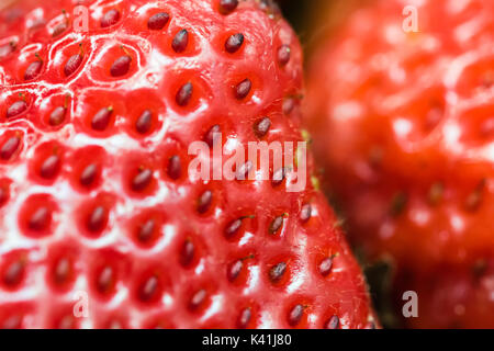 Detail der einige geschnittene Erdbeeren. - Aus nächster Nähe erschossen, lebhaften Farben. Stockfoto