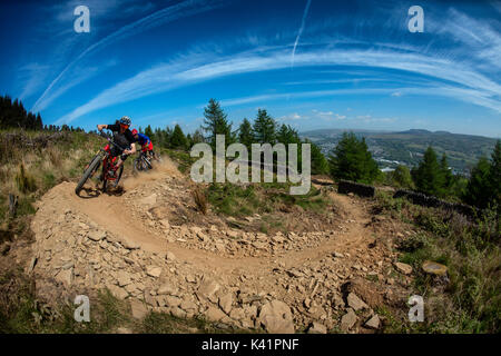 Zwei Mountainbiker fahren staubiger Spur am Bikepark Wales in der Nähe von Merthyr Tydfil in Südwales. Stockfoto