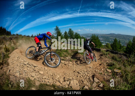 Zwei Mountainbiker fahren staubiger Spur am Bikepark Wales in der Nähe von Merthyr Tydfil in Südwales. Stockfoto