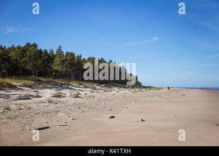 Eine schöne Landschaft von Dünen an der Küste der Ostsee Stockfoto