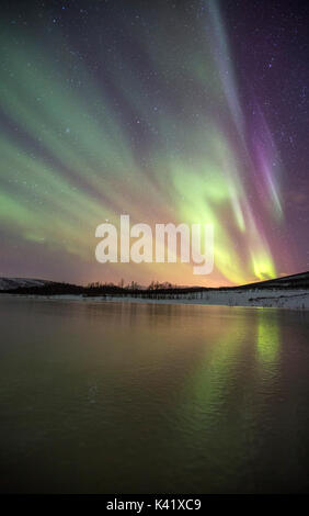 Aurora Borealis auf die gefrorenen Lagune Jaegervatnet Stortind Lyngen Alpen Tromsø Lappland Norwegen Europas Stockfoto