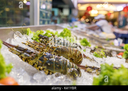 Frischer Hummer auf Eis. Speiselokal in Asien Langusten Nahaufnahme. Stockfoto