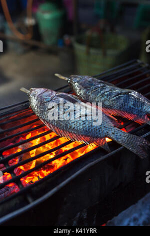 Gegrillter Fisch mit Salzkruste und Kraut auf Grill Stockfoto