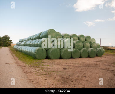 Ein Haufen von industriellen grün Kunststoff verpackt Ballen Heu, Weizen, Essex, England, Großbritannien Stockfoto