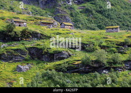 Altes traditionelles Haus mit Gras bedeckt entlang Trollvegen in Møre Og Romsdal, Norwegen Region von Norwegen Stockfoto