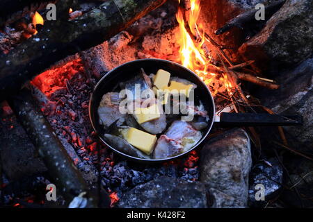 Frisch Kabeljau auf Pan Am Lagerfeuer in Norwegen vorbereitet gefangen Stockfoto