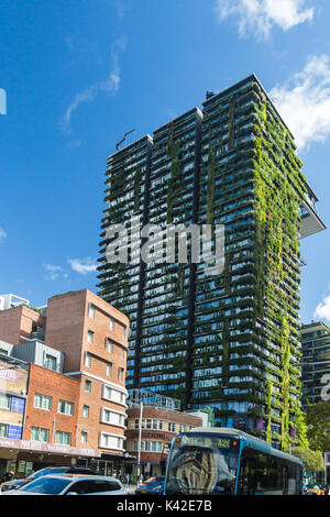 Allgemeine Ansichten mit einem zentralen Park, um Chippendale Grün gebaut wird. Das Gebäude selbst wurde vom award-winning Pariser Architekten Je Stockfoto