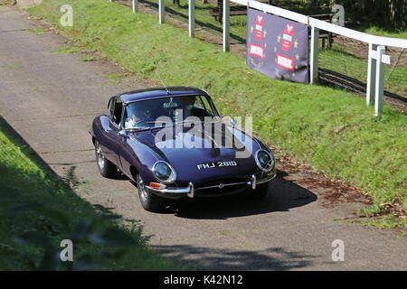 Jaguar E-Type S1 Coupé (1966), auf der Test Hill, Brooklands Museum, Weybridge, Surrey, England, Großbritannien, USA, UK, Europa Stockfoto