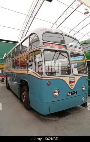 British European Airways AEC Regal IV (1953). London Bus Museum, Weybridge, Surrey, England, Großbritannien, Großbritannien, Großbritannien, Europa Stockfoto