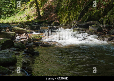 Es ist ein kleine Bucht durch einen Wald fließt Stockfoto