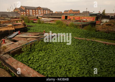 Bootmuseum, Ellesmere Port, Kanalboote, Geschichte, The Wirral, Narrow Boats, British Heritage, Barges, Merseyside, Bildung, Werkstatt, Schlösser. Stockfoto