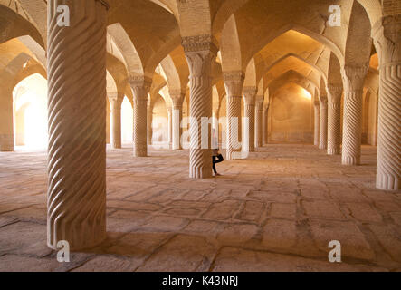 Shabestan Säulen im Gebetsraum der Moschee Vakil, Shiraz, Iran Stockfoto