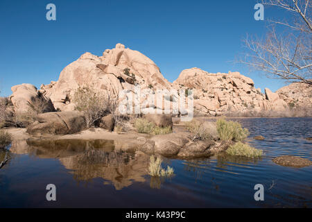 Wasser füllt den Barker Dam nach Regenfällen am Joshua Tree National Park Januar 25, in Twentynine Palms, Kalifornien 2017. (Foto von Hannah Schwalbe über Planetpix) Stockfoto