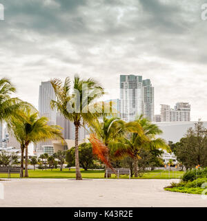 Blick auf Downtown Miami in einem bewölkten und windigen Tag. Stockfoto