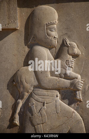 Filigrane Schnitzerei. Palast von Darius der Große, auch als Tachara, Persepolis, Shiraz, Iran bekannt. Durchführung ein Lamm Stockfoto