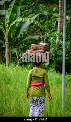 Eine balinesische Gebet zu Fuß auf ländlichen Straßen in der Stadt Ubud in Bali, Indonesien. Bali ist die beliebteste Insel Urlaubsziel in den Indonesischen archipe Stockfoto