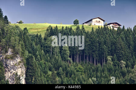 Berg in den österreichischen Alpen mit hellen grünen Weide und traditionelles Bauernhaus an der Oberseite und an der steilen felsigen Hang mit dunklen Kiefernwald in der foregr Stockfoto