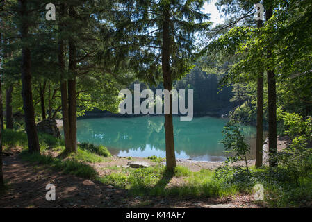 Aveto Valley Regional Park, Lahme See, Ligurien, Italien. Die glazialen Lame See mit's tree Reflexion Stockfoto