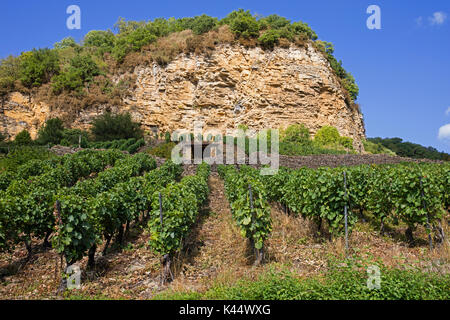 Weinberge berühmt für ihre weißen Wein, Château-Chalon AOC im Jura in der Franche-Comté, Lons-le-Saunier, Frankreich Stockfoto