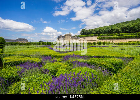 Frankreich, Indre-et-Loire, Château de Villandry, Blick auf den Kräutergarten Stockfoto