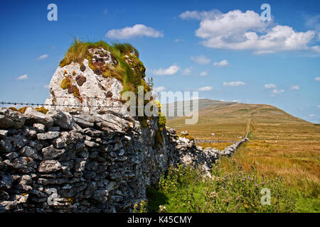 Eine ungewollte in der Steinmauer, die zu Whernside Stockfoto