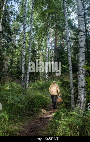 Die nahrungssuche für Pilze Beeren Teijo National Park South Finnland Teijo Nationalpark ist ein Nationalpark im Südwesten Finnland, Finnland in der Gegend von Perniö Salo Gemeinde. Der Park wurde am 1. Januar 2015 gegründet und umfasst eine Fläche von 34 Quadratkilometern. Es ist von Metsähallitus beibehalten Stockfoto