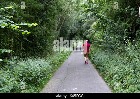 Mann, der einen gepflasterten Weg in Waldlage, Sträucher und Grün, Wanderweg, schmaler Weg, Bäume und Blätter, Wandern allein, Wildnis Stockfoto