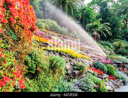 Villa Carlotta, Botanischer Garten, Tremezzina, Comer See, Lombardei, Italien Stockfoto