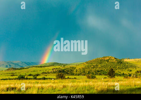 Landschaft, Monaghan Farm, Lanseria, Johannesburg in der Provinz Gauteng, der Republik Südafrika, Afrika. Regenbogen nach dem Sturm. Stockfoto