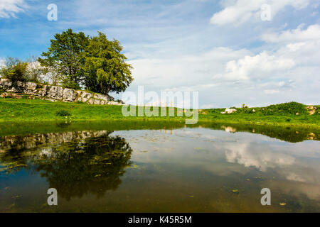 Teich, Monte Corno, Hochebene von Asiago in der Provinz Vicenza, Venetien, Italien. Stockfoto