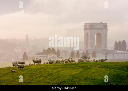 Die wandertierhaltung, Hochebene von Asiago in der Provinz Vicenza, Venetien, Italien. Jährliche Bewegung der Schafe. Stockfoto