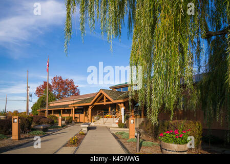 USA, New York, Finger Lakes Region, Dundee, Glenora Weinkeller, Weingut Stockfoto